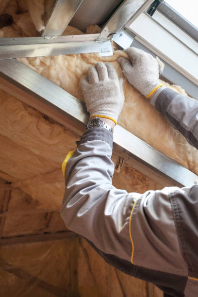 Best DIY Insulation Kits and Guidance in Loudon, TN