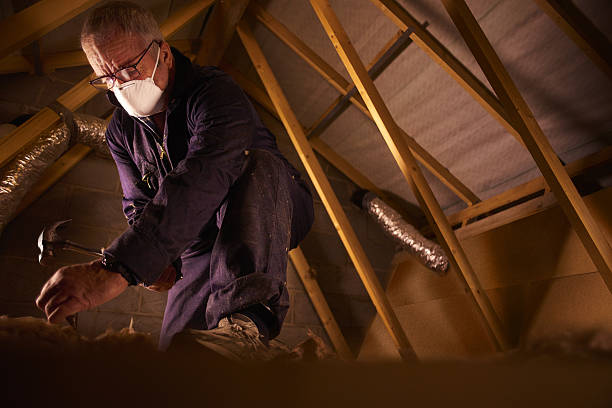 Types of Insulation We Offer in Loudon, TN